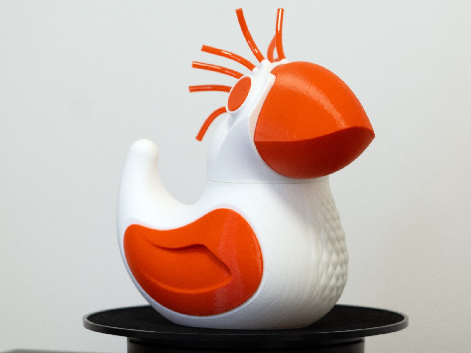 Strange Bird